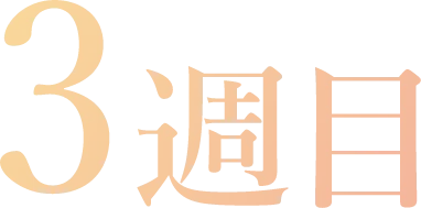 3週目